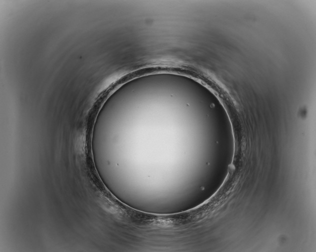 X0000100211315200806061336