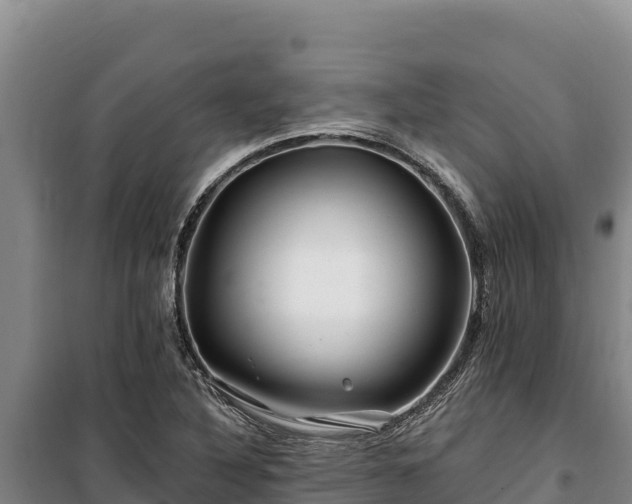 X0000100211316200806061336