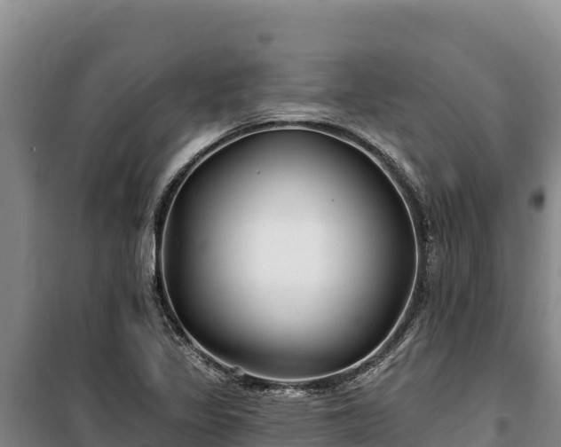 X0000100211317200806061336