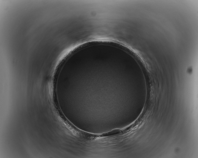 X0000100211319200806061336