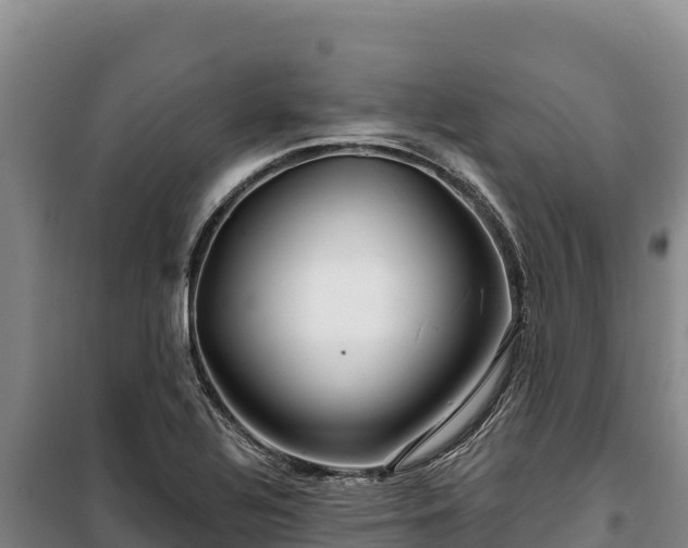 X0000100211320200806061337