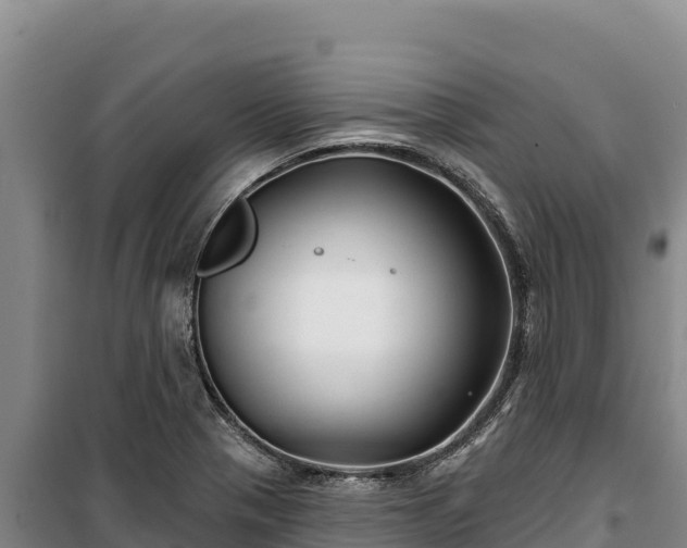 X0000100211321200806061337