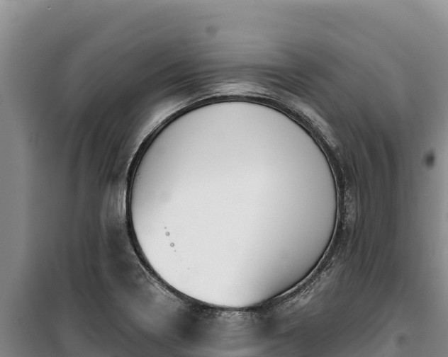 X0000100211322200806061337