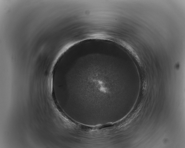 X0000100211323200806061337