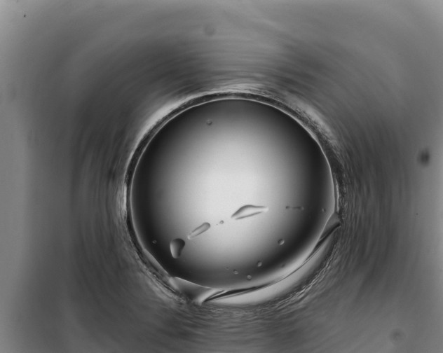 X0000100211324200806061337