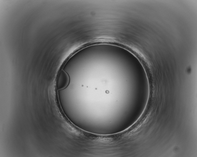 X0000100211325200806061337