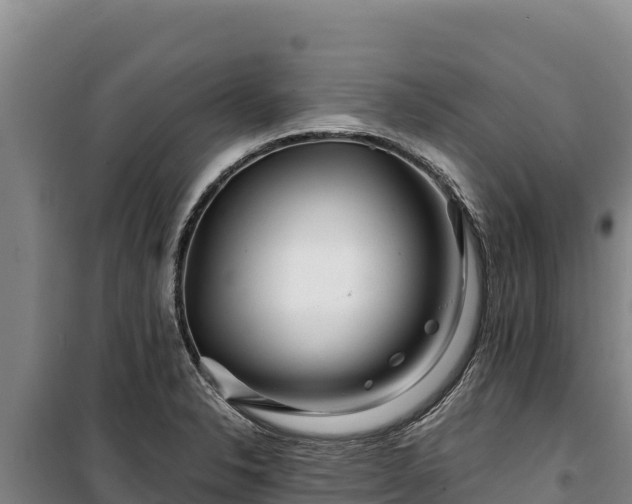 X0000100211326200806061337