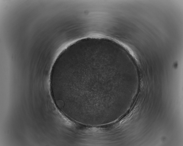 X0000100211327200806061337