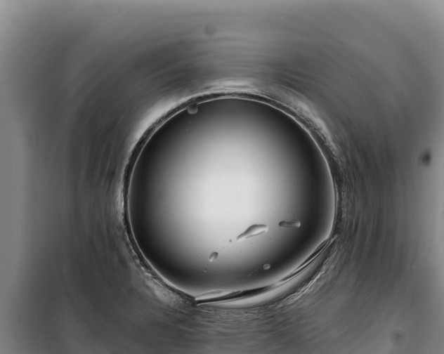 X0000100211328200806061337