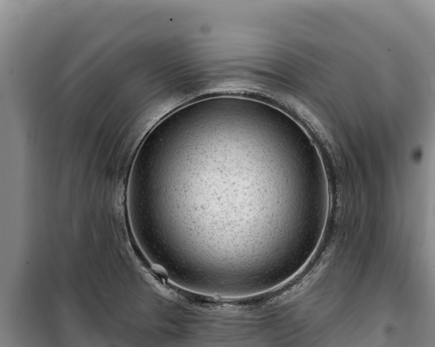 X0000100211329200806061337