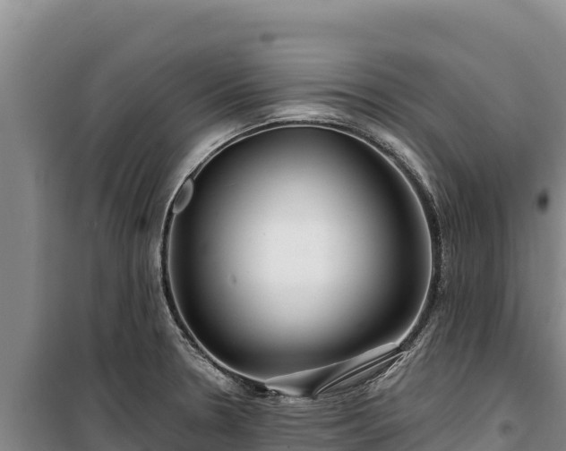 X0000100211330200806061337