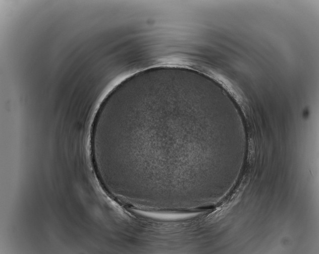 X0000100211331200806061337