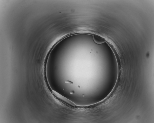 X0000100211333200806061337