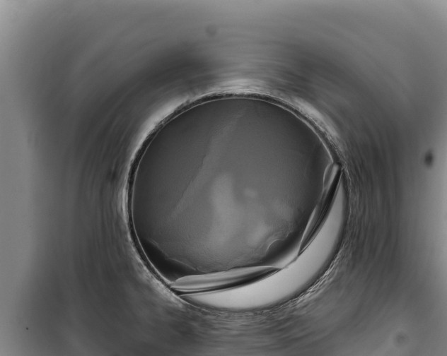 X0000100211334200806061337