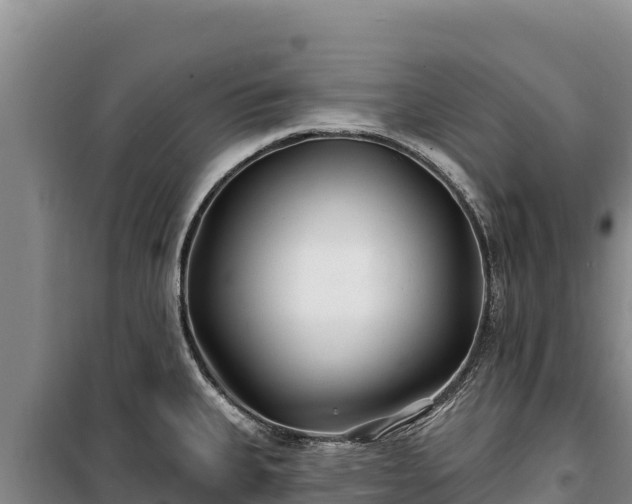 X0000100211335200806061337