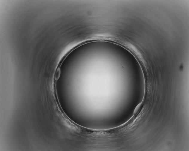 X0000100211336200806061337