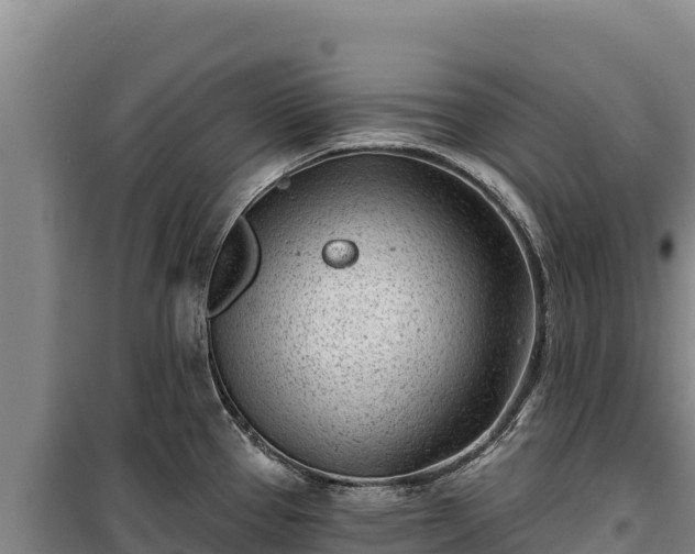 X0000100211337200806061337