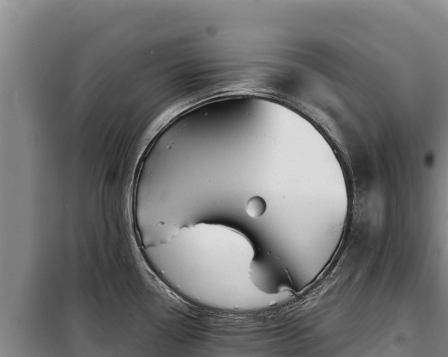 X0000100211338200806061337