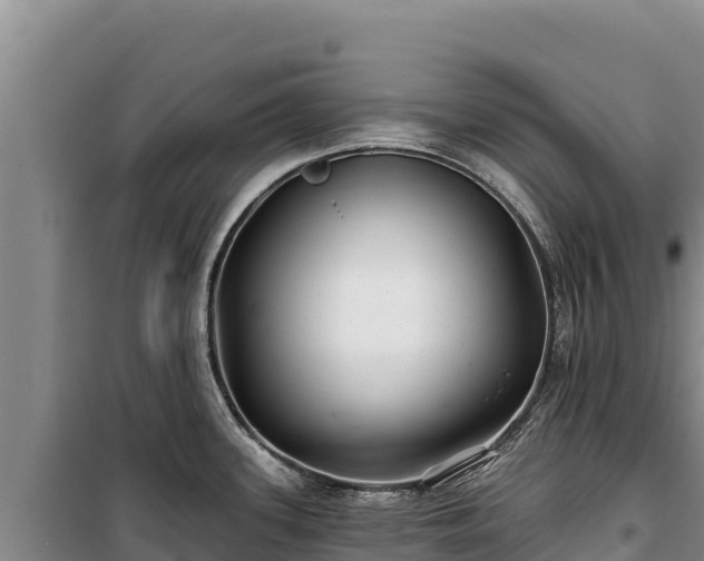 X0000100211339200806061337