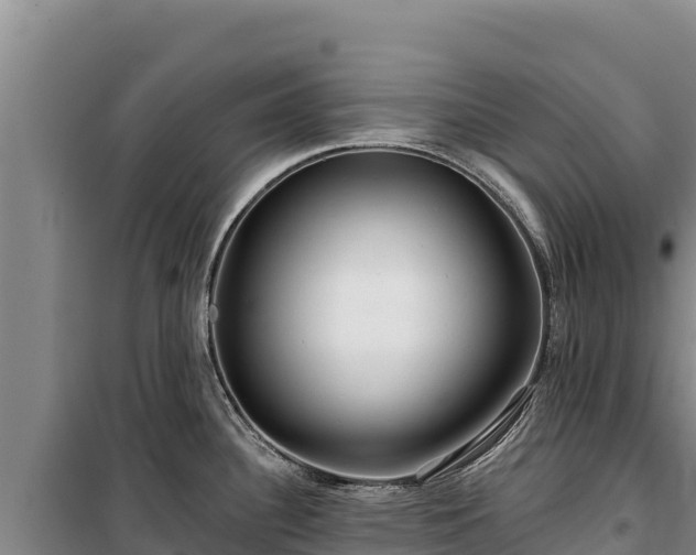 X0000100211340200806061337