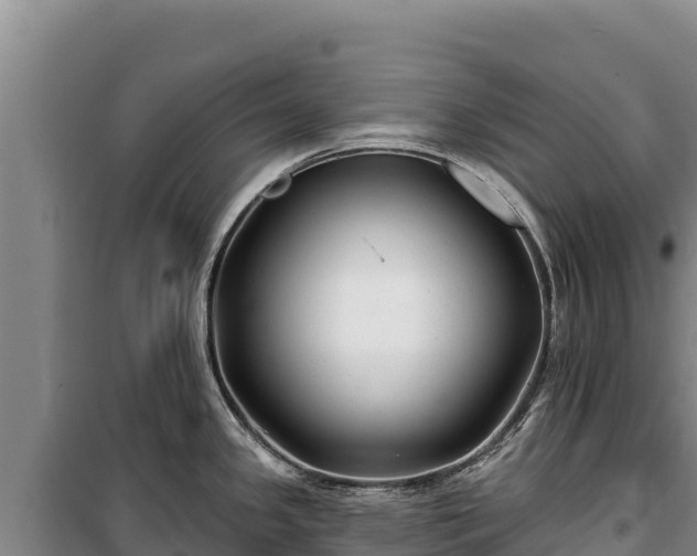 X0000100211341200806061337