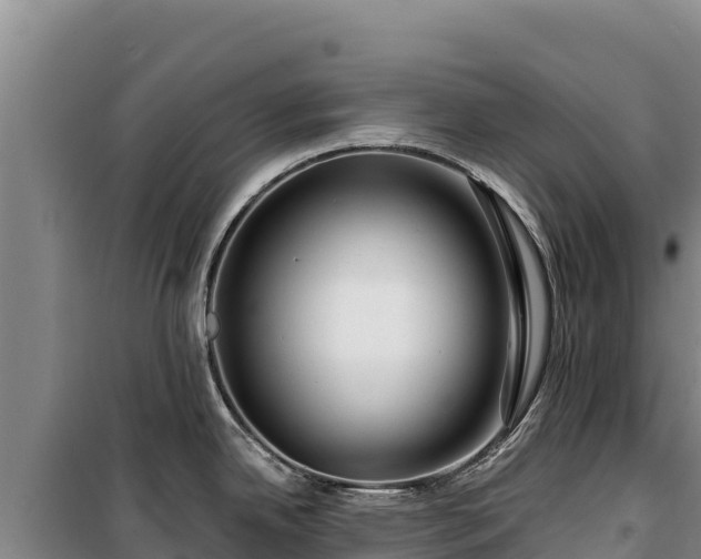 X0000100211342200806061337