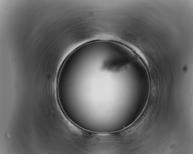 X0000100211343200806061337