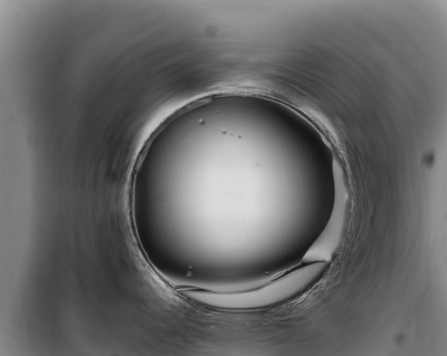 X0000100211344200806061337