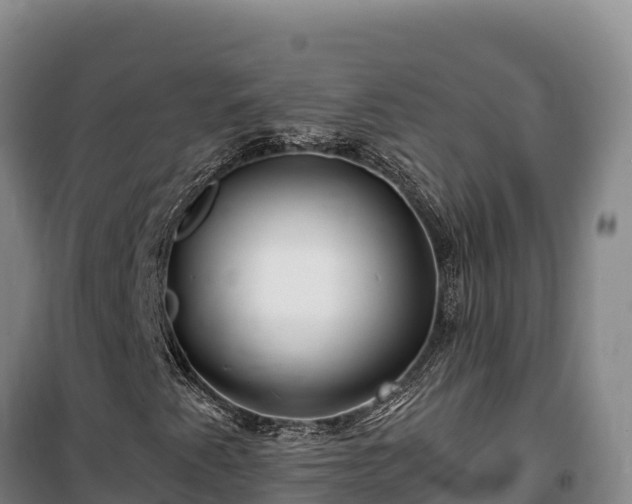 X0000100211345200806061336