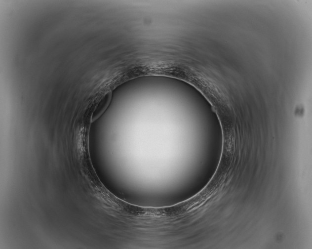 X0000100211346200806061336