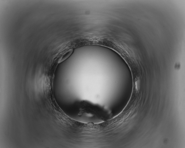 X0000100211347200806061336