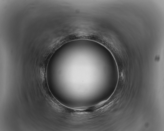 X0000100211348200806061336