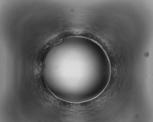 X0000100211349200806061336