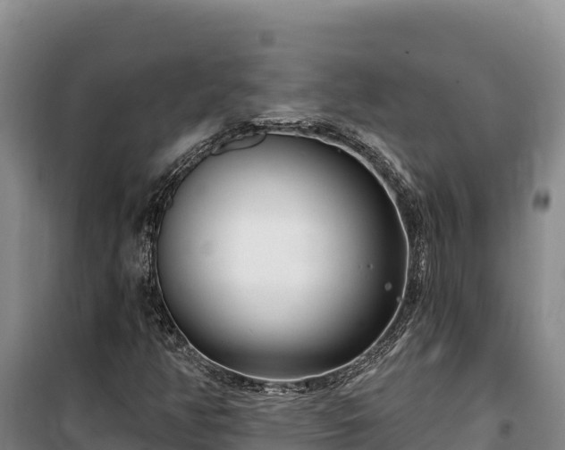 X0000100211350200806061336