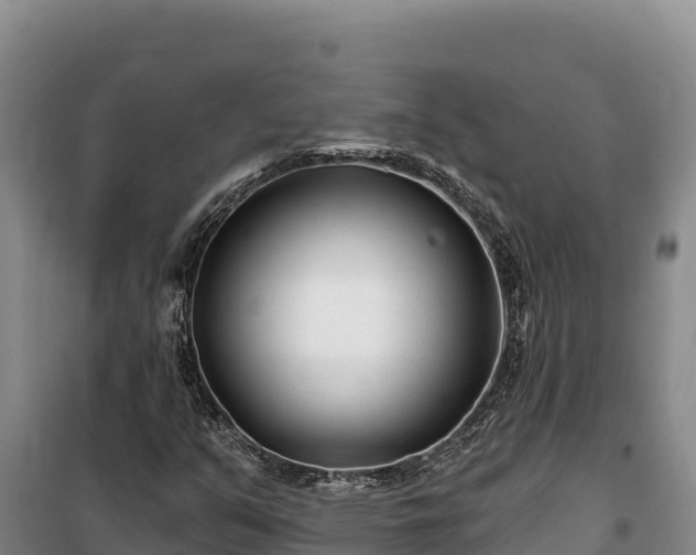 X0000100211351200806061336