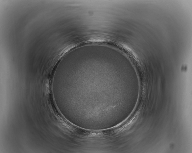 X0000100211353200806061336