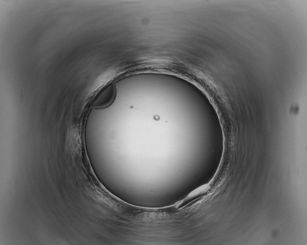 X0000100211354200806061336