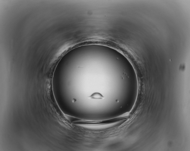 X0000100211355200806061336