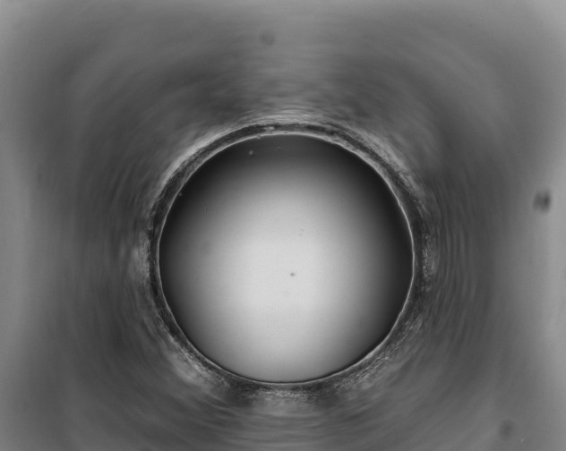 X0000100211356200806061336