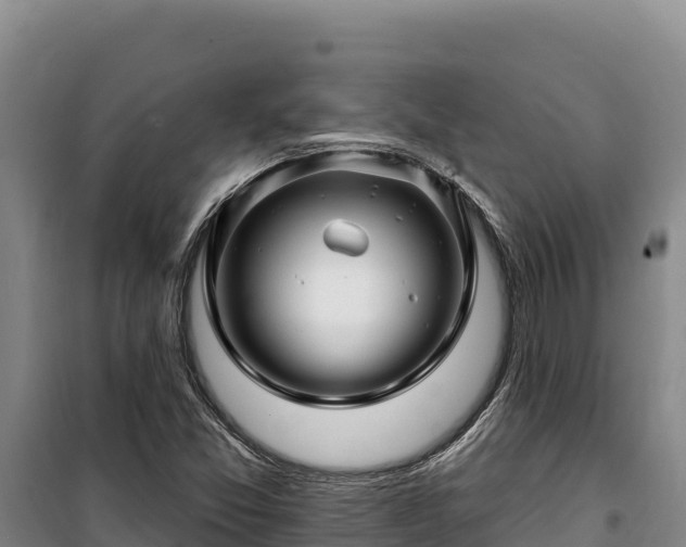 X0000100211357200806061336