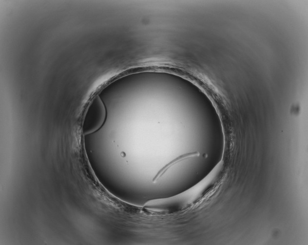 X0000100211358200806061336