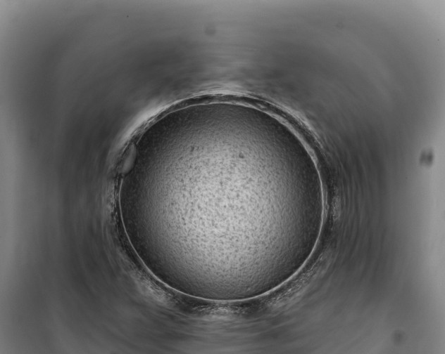 X0000100211359200806061336