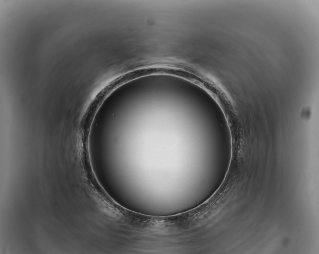 X0000100211360200806061336