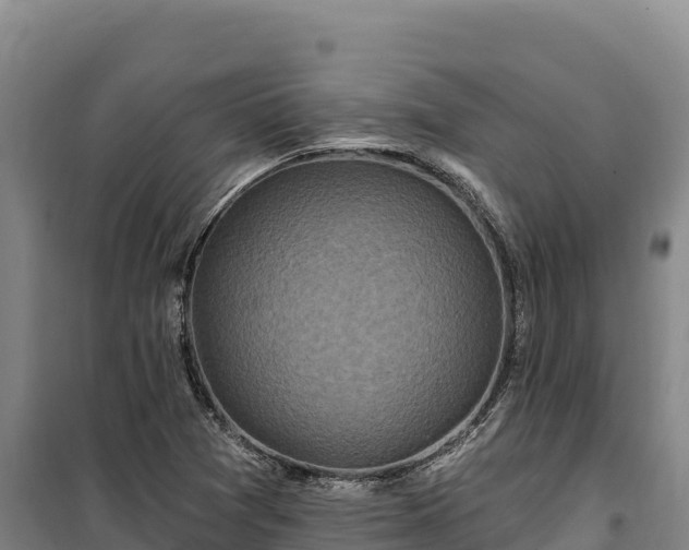 X0000100211361200806061336