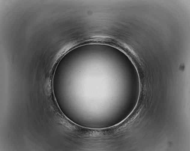 X0000100211362200806061336