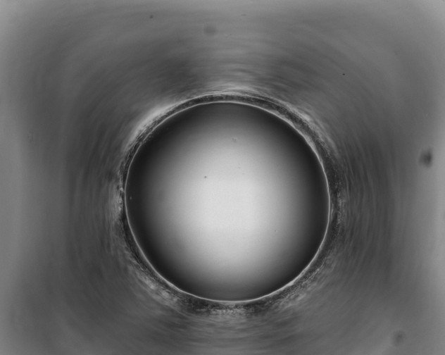 X0000100211363200806061336