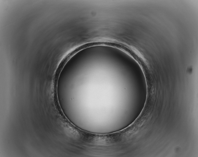 X0000100211364200806061336