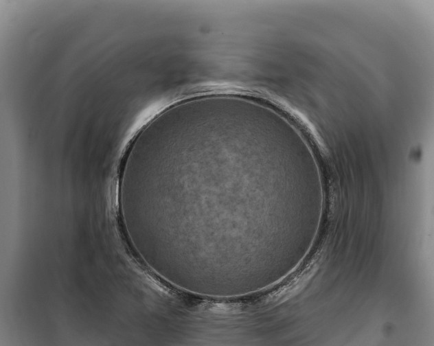 X0000100211365200806061336