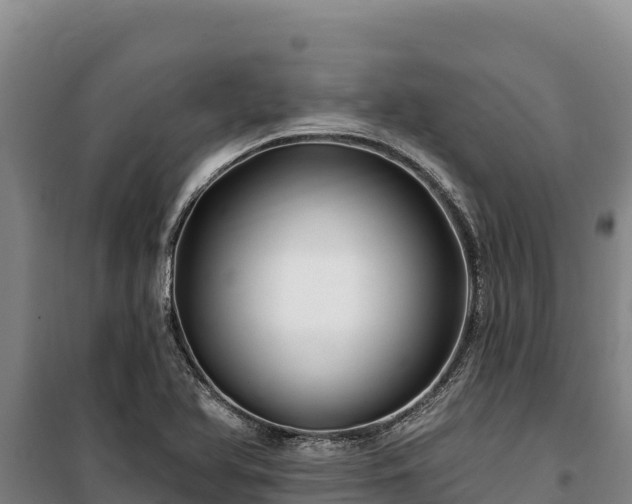 X0000100211366200806061336