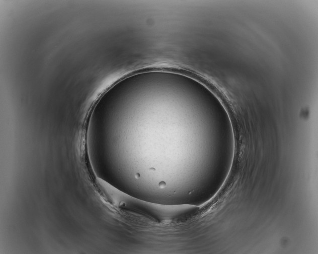 X0000100211367200806061336